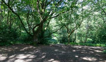 Wandererlebnis Dominica