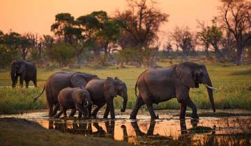 Zimbabwe And Botswana Ultimate Safari Tour