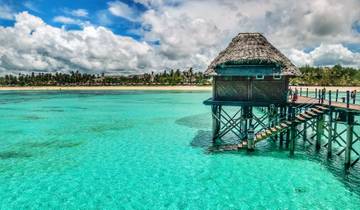 Escapade à Zanzibar : pistes de safari et récits de mer