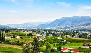 Newfoundland Viking Trail From Corner Brook (Small Group) - 7 days