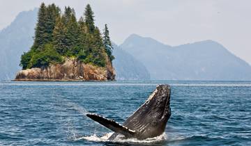 Newfoundland Viking Trail From Corner Brook (Small Group) - 7 days