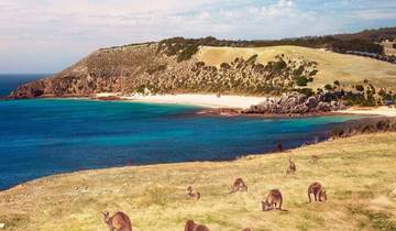 3 DAYS ADVENTURE IN KANGAROO ISLAND: A HIDDEN PARADISE