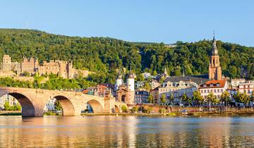 The Majestic Rhine 2026 - 8 Days (from Frankfurt-am-Main to Zurich)