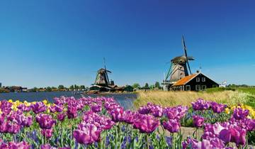 Tulipes et moulins à vent (2026) (d'Amsterdam à Anvers, 2026)