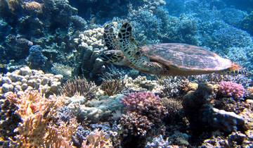 WESTERN AUSTRALIA ROAD ADVENTURE: COASTAL WONDERS AND OUTBACK MAGIC