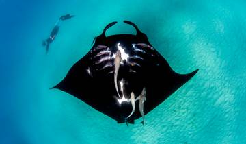 WESTERN AUSTRALIA ROAD ADVENTURE: COASTAL WONDERS AND OUTBACK MAGIC