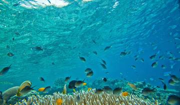 WESTERN AUSTRALIA ROAD ADVENTURE: COASTAL WONDERS AND OUTBACK MAGIC