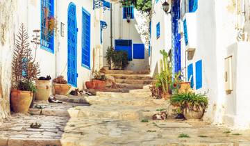 7 Days in Tunisia, incl. Tunis and Kairouan