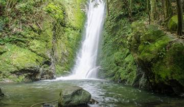 EMBARK ON A JOURNEY THROUGH NEW ZEALAND’S NATURAL BEAUTY