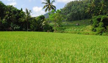 Diversidad indonesia en Sumatra, Java y Bali