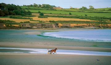 De gedetailleerde reis op het Emerald Isle