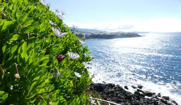 8 Day São Miguel Azores Itinerary, incl. Ponta Delgada and Furnas