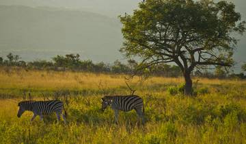 Südafrika - Wilde Küste und grüne Berge Rundreise