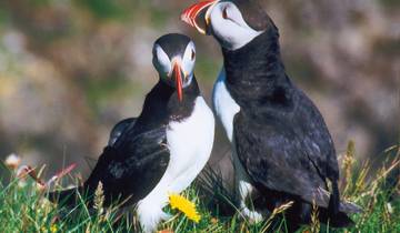 Islands Naturwunder geruhsam erleben