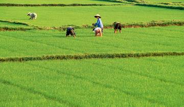 Vietnam de un vistazo