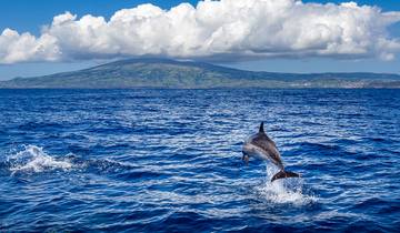 Madeira and Azores