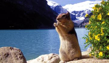 Natural Wonders of Western Canada