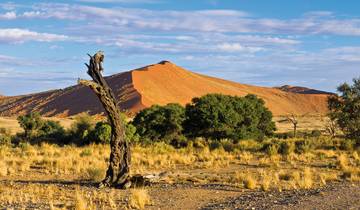 Discover Namibia