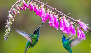 Discover the Galápagos by boat