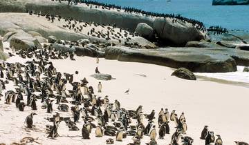 Afrique du Sud ─ La magie de la Route des Jardins pour les épicuriens Tour