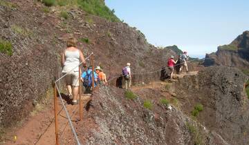 Madeira - levadas, laurel, Lava rocks