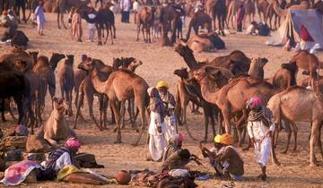 Große Rajasthan Rundreise Rundreise