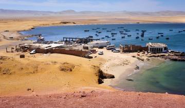 Paracas - Désert et mer