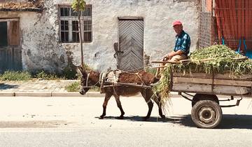 Experience Albania's Culture and Coast (14 destinations)