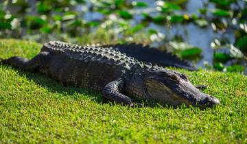 9 Days in Florida, incl. Miami and Orlando