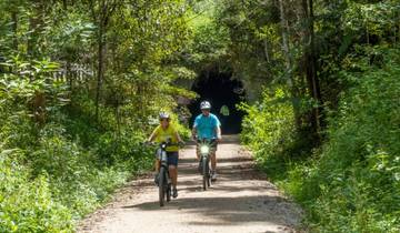 Northern Rivers Rail Trail NSW Guided Cycling Tour