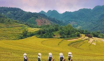 Au départ de Hanoi : Circuit de 3 jours à Mai Chau, Puluong et Ninh Binh - vélo, culture, rizières en terrasses et vues panoramiques circuit