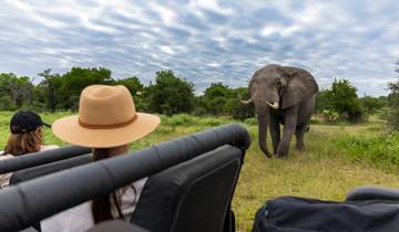 Premium Southern Africa in Depth Safari