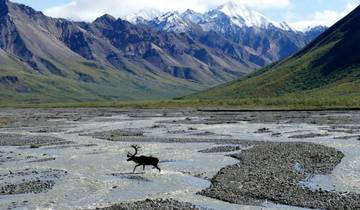 12 Day Alaska Itinerary, incl. Denali and Kenai Fjords