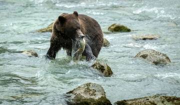12 Day Alaska Itinerary, incl. Denali and Kenai Fjords