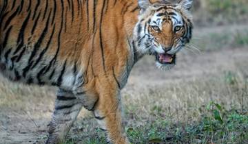 Gouden Driehoek Tour Met Jim Corbett Nationaal Park-rondreis
