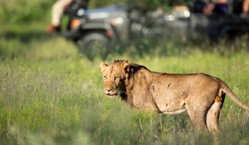 5-Day Big Five Tanzania Safari Package Tour