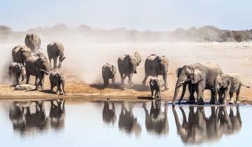 5-Day Etosha National Park and Himba Community Safari Tour