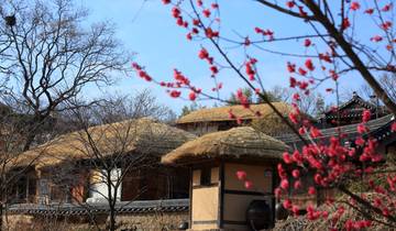 Japan meets Südkorea: Train Ride to Hanok & Harajuku (9 Destinationen)