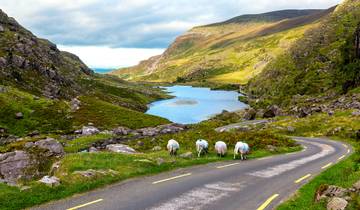 Roadtrip Irland: Glamping am Wild Atlantic Way (einschließlich Killarney)