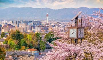 Japan Bucketlist: Glowing City Lights & Mystic Fuji Vibes (einschließlich Fujikawaguchiko) Rundreise