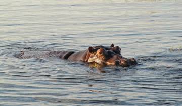 Zambezi Queen 3 Days