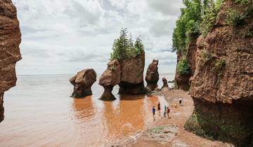 Wonders of the Bay of Fundy: A Driving Adventure