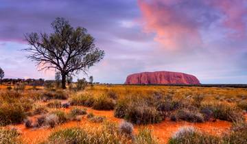 3 Day Uluru Itinerary, incl. Kata Tjuta and Field of Light