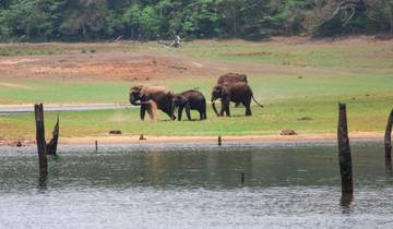 Kerala Wildlife Fotografie Tour-rondreis