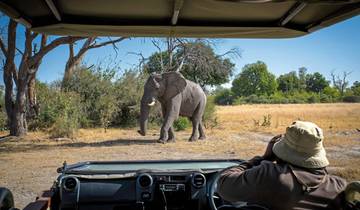 Botswana - Safari droom met Natuurlijke Selectie 6 nachten