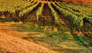 Autotour Von der Hugellandschaft der Toskana zu den Perlen des Mittelmeeres