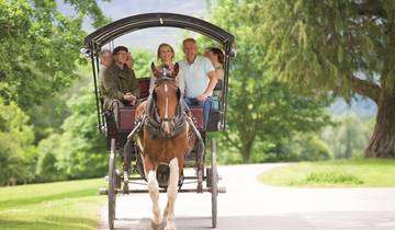 Focus on Ireland - Premium (Small Groups) Tour