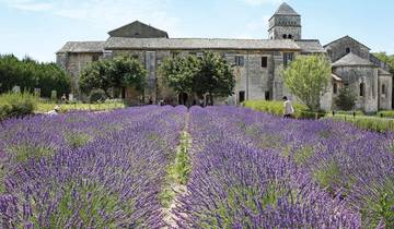 Normandy & Gems of the Seine & Spectacular South of France 2026 - 21 Days (from Lyon to Paris)