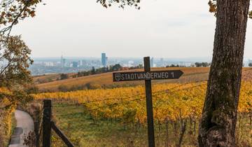 Romantic Rhine & Moselle with Wonders of Switzerland & Austria 2026 - 29 Days (44 destinations)