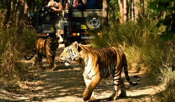 Treasures of India: Cultural and Wildlife Tour Tour